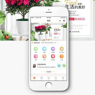 通榆门店微商城小程序开发