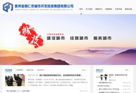 通榆城市开发投资集团有限公司