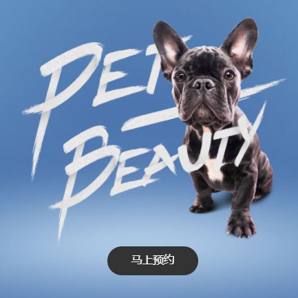 通榆宠物中心小程序开发