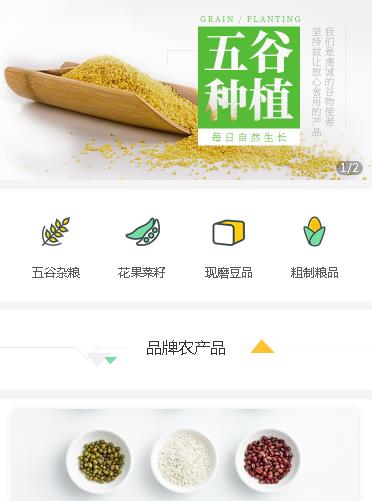 通榆农资农科小程序开发
